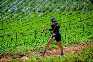 BIB: 
                            <button type="button" onclick="openModal(19164460)" class="btn btn-primary btn-sm float-right btn-popup" data-toggle="modal" data-target=".modal-high-quality">
                        <i class="fas fa-shopping-cart"></i> Add to Cart
                    </button>
                                            <button type="button" onclick="isThisMe(19164460, true)" class="btn btn-success btn-sm float-right btn-popup btn-isme hidden" data-toggle="tooltip" data-placement="bottom" title="นี่คือรูปของคุณใช่ไหม คลิกที่นี่เพื่อเอาเข้าอัลบั้ม">
                        <i class="fas fa-plus"></i> Add to album
                    </button>
                    <button type="button" onclick="isThisMe(19164460, false)" class="btn btn-warning btn-sm float-right btn-popup btn-isnotme hidden">
                        <i class="fas fa-ban"></i> Remove from album
                    </button>